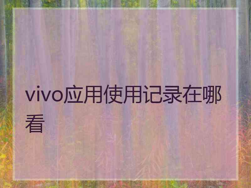 vivo应用使用记录在哪看