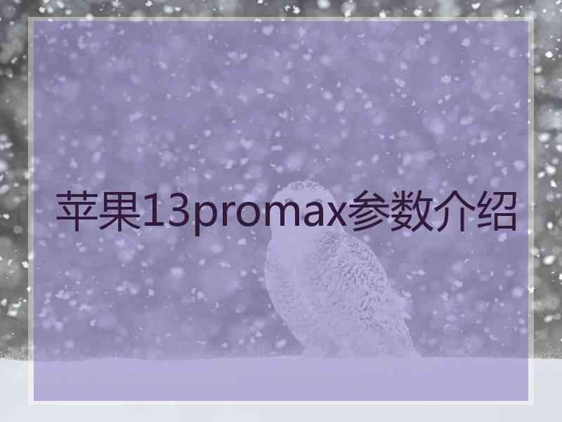 苹果13promax参数介绍