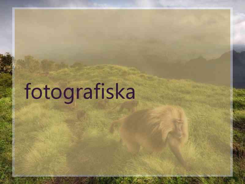 fotografiska