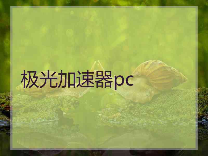 极光加速器pc