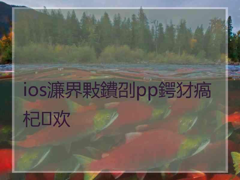 ios濂界敤鐨刟pp鍔犲瘑杞欢