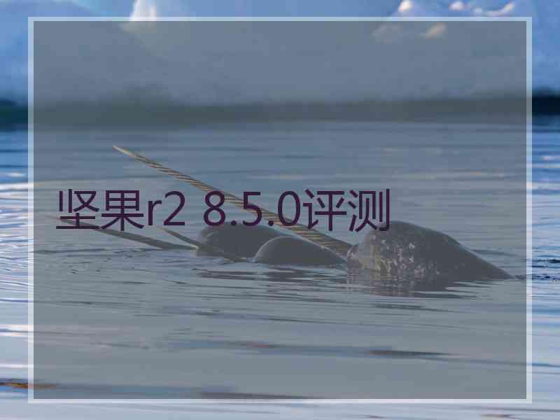 坚果r2 8.5.0评测