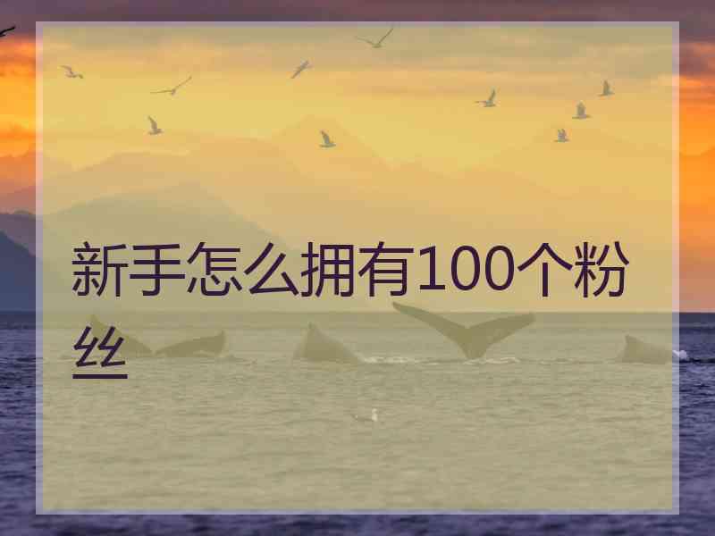 新手怎么拥有100个粉丝