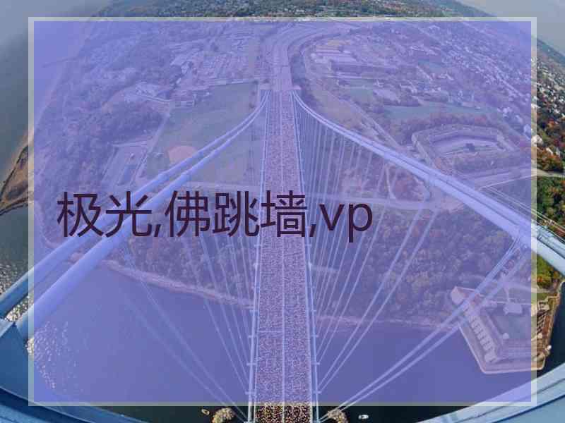 极光,佛跳墙,vp