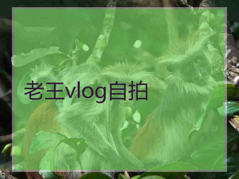 老王vlog自拍