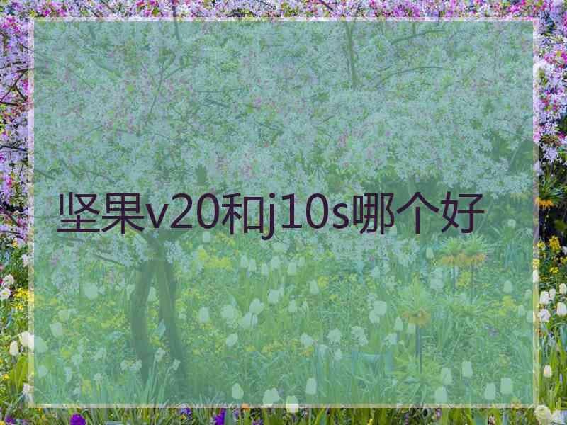 坚果v20和j10s哪个好