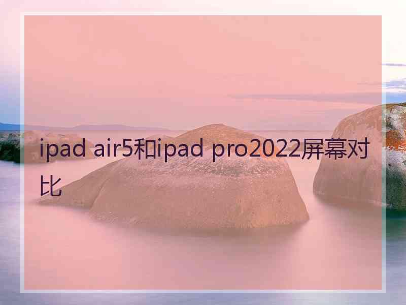 ipad air5和ipad pro2022屏幕对比