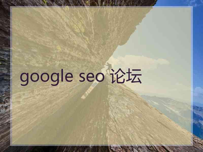 google seo 论坛