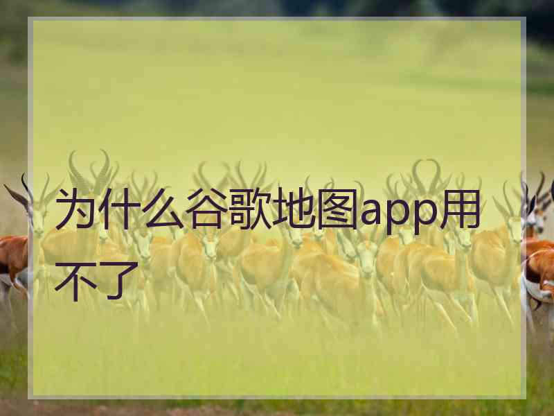 为什么谷歌地图app用不了