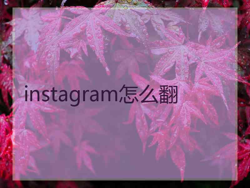 instagram怎么翻