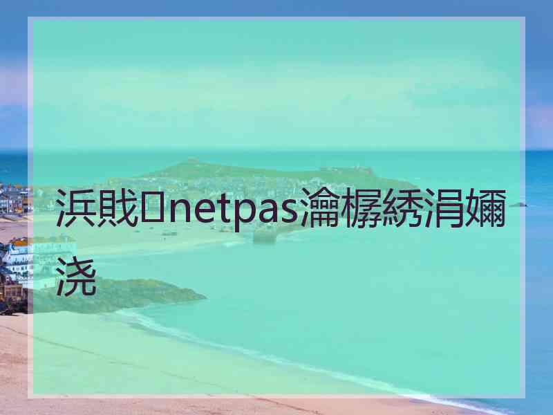 浜戝netpas瀹樼綉涓嬭浇