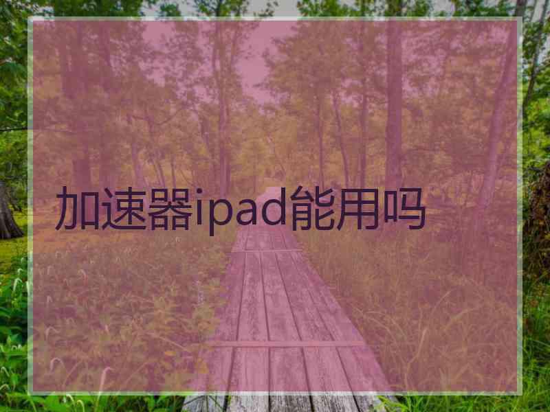 加速器ipad能用吗