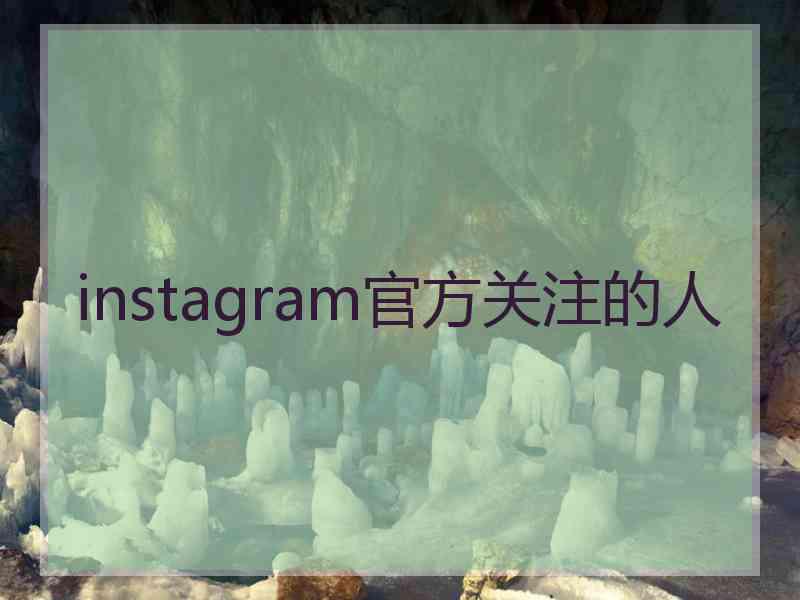 instagram官方关注的人