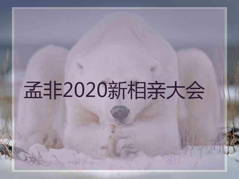 孟非2020新相亲大会