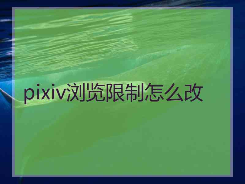 pixiv浏览限制怎么改