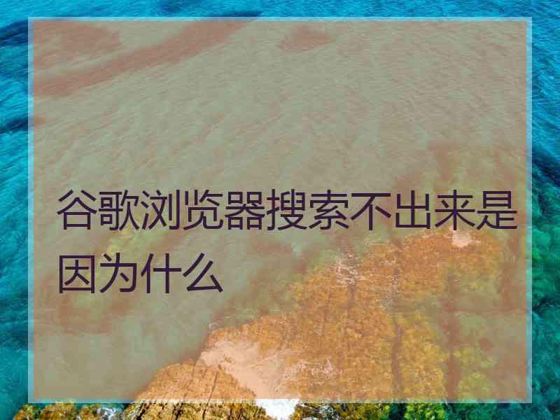 谷歌浏览器搜索不出来是因为什么