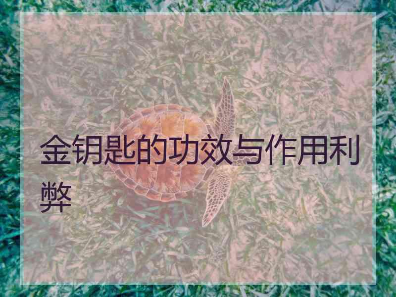 金钥匙的功效与作用利弊