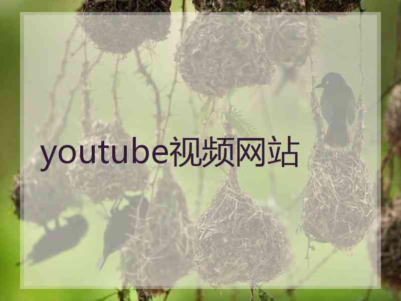 youtube视频网站