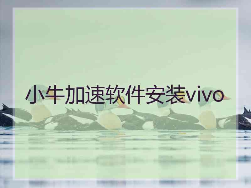 小牛加速软件安装vivo