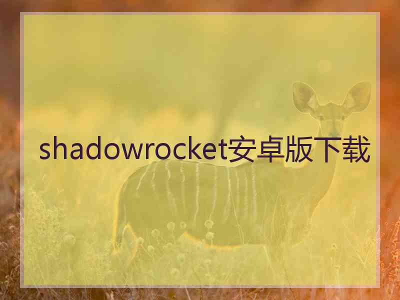 shadowrocket安卓版下载