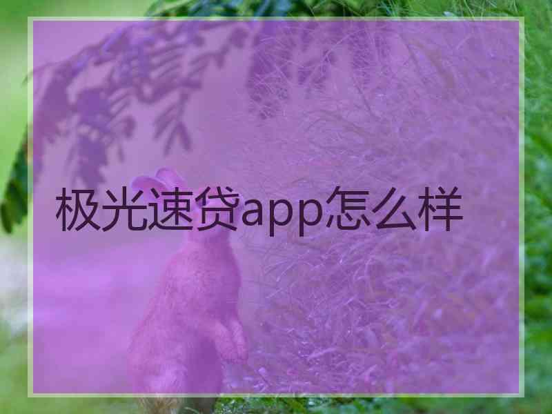 极光速贷app怎么样