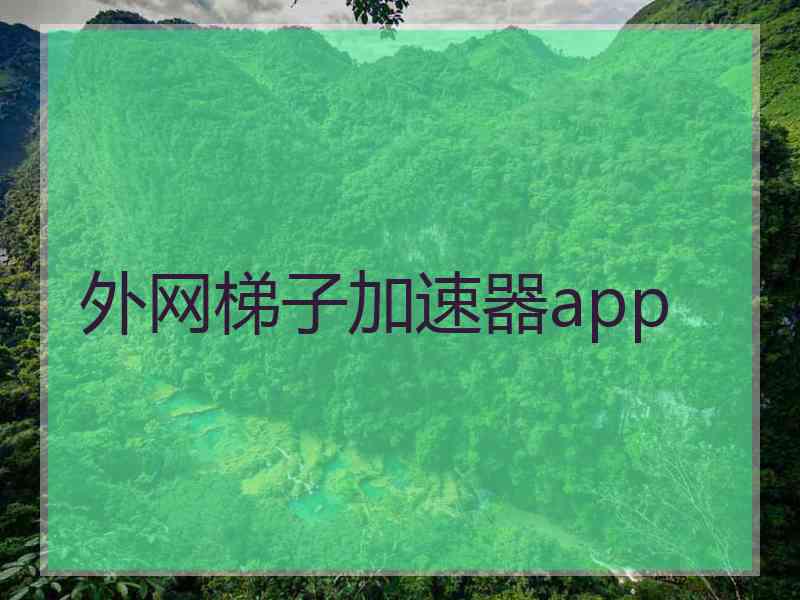 外网梯子加速器app