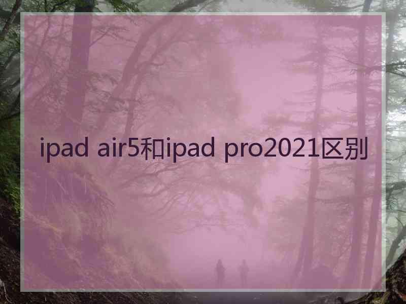 ipad air5和ipad pro2021区别