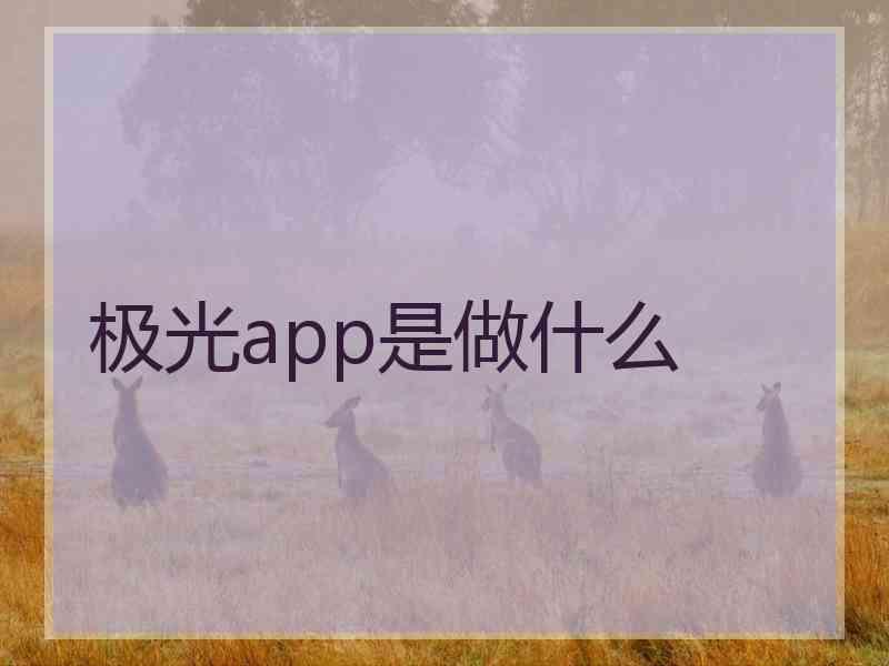 极光app是做什么