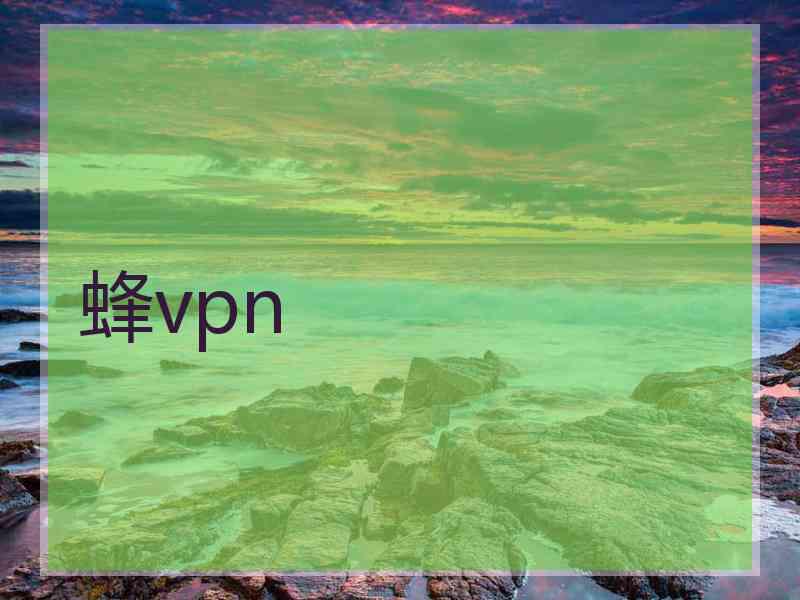 蜂vpn