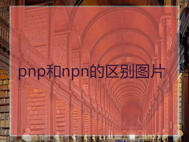 pnp和npn的区别图片