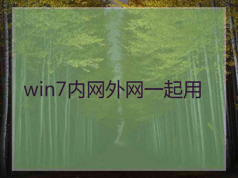 win7内网外网一起用