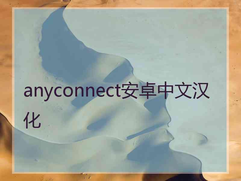 anyconnect安卓中文汉化