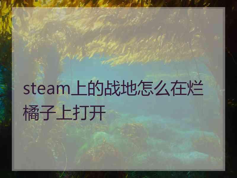 steam上的战地怎么在烂橘子上打开