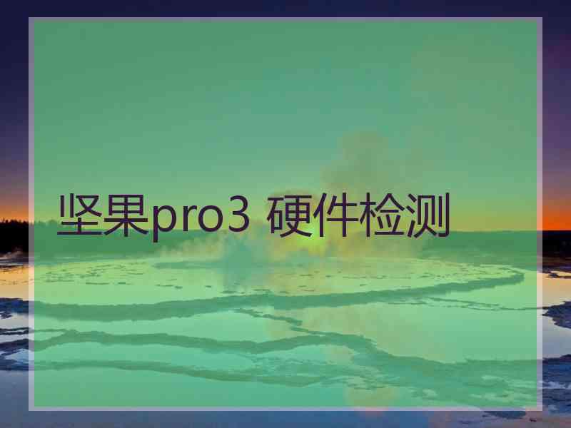 坚果pro3 硬件检测