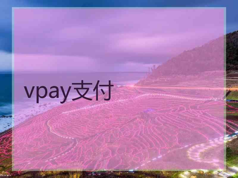 vpay支付