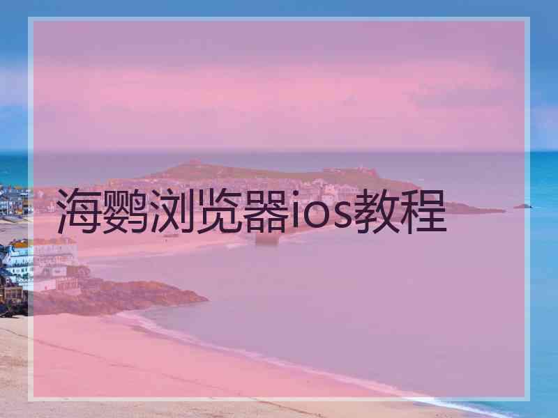 海鹦浏览器ios教程