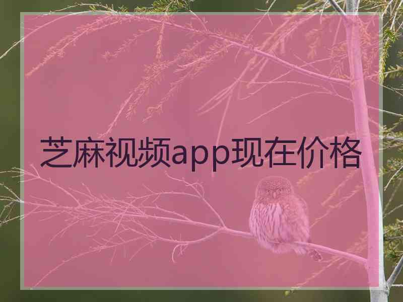 芝麻视频app现在价格