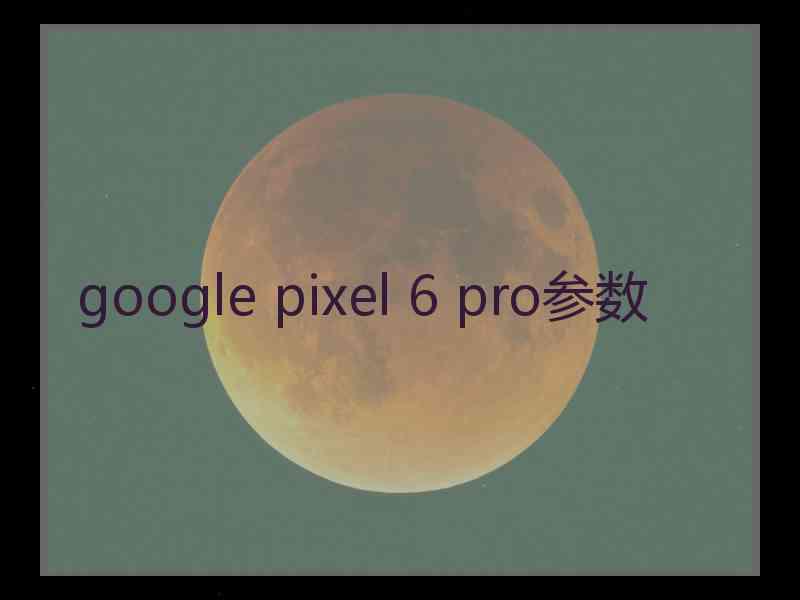 google pixel 6 pro参数