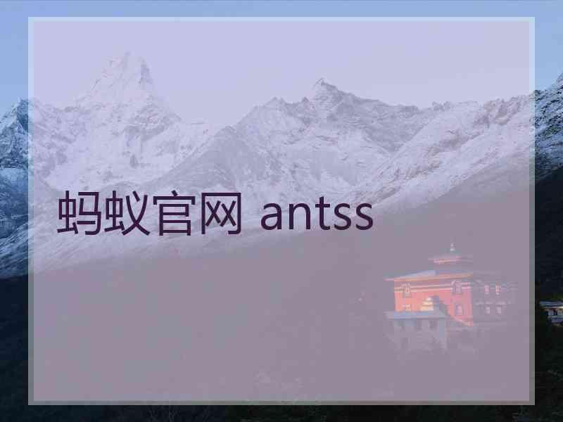 蚂蚁官网 antss