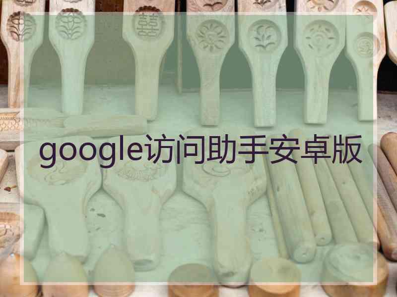 google访问助手安卓版