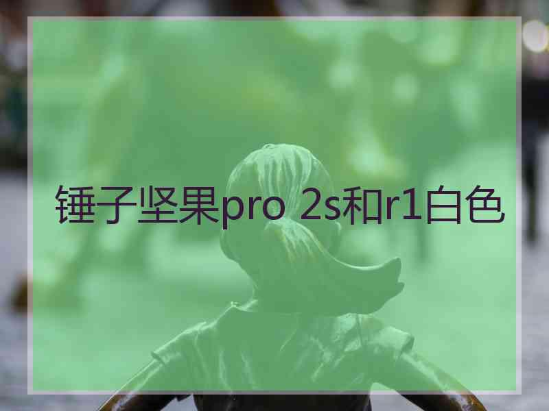 锤子坚果pro 2s和r1白色