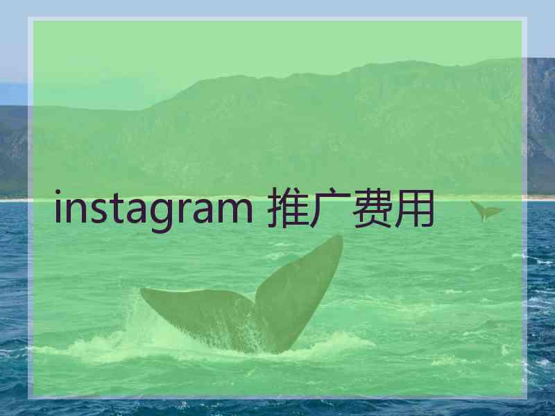 instagram 推广费用