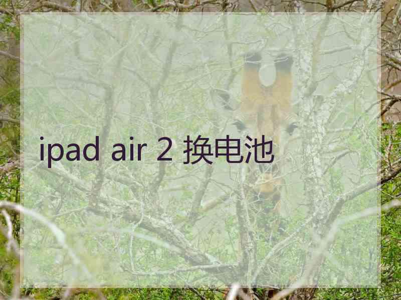 ipad air 2 换电池