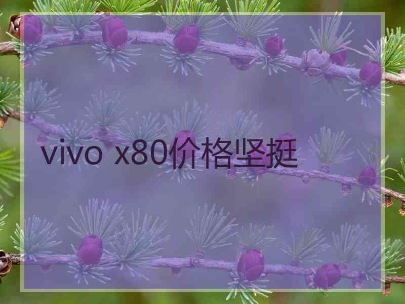 vivo x80价格坚挺