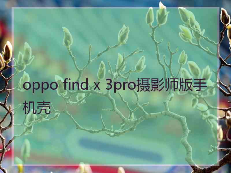 oppo find x 3pro摄影师版手机壳