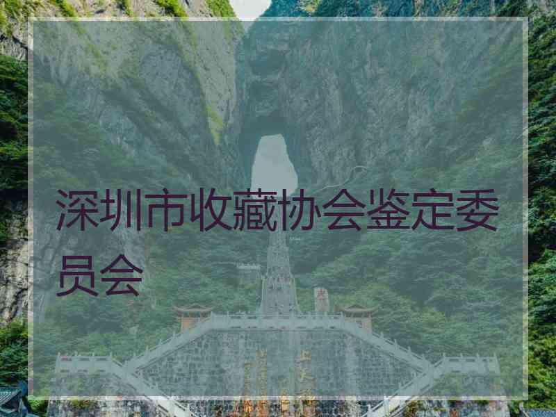 深圳市收藏协会鉴定委员会