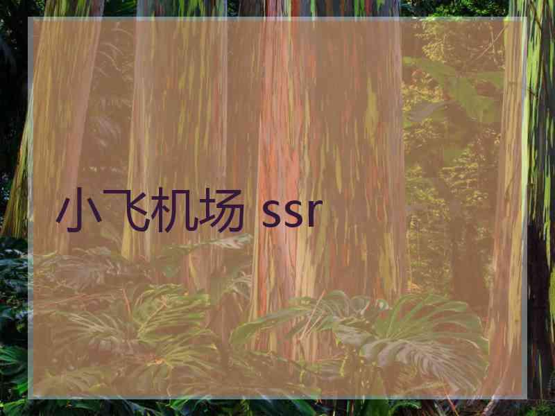 小飞机场 ssr