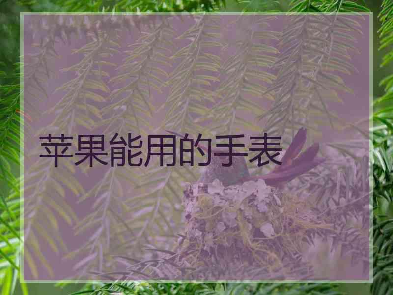 苹果能用的手表