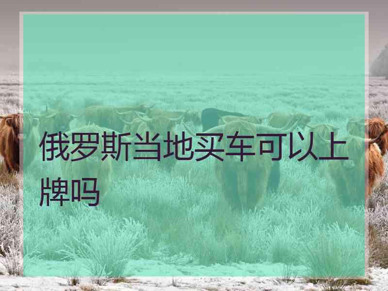 俄罗斯当地买车可以上牌吗