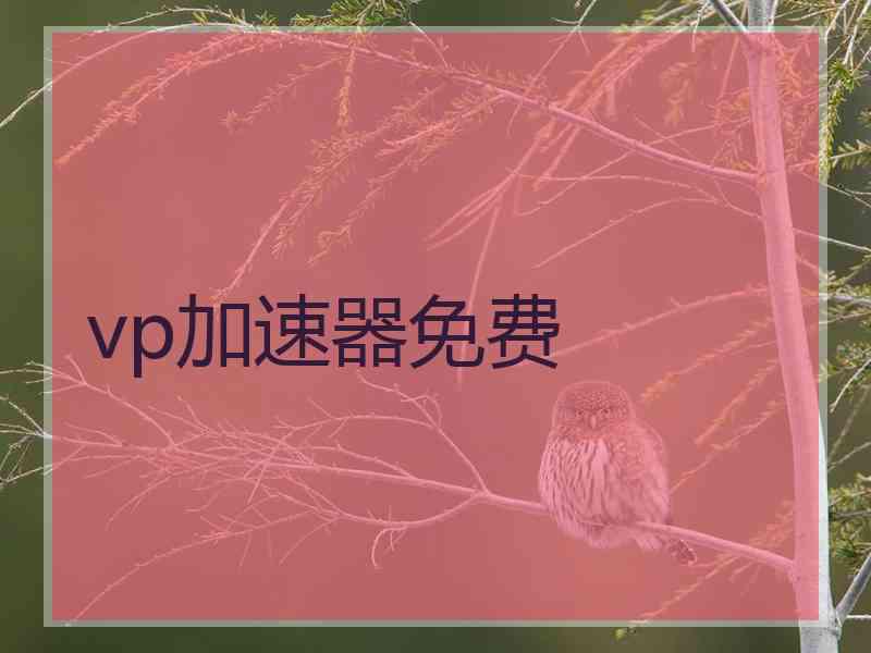 vp加速器免费